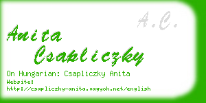 anita csapliczky business card